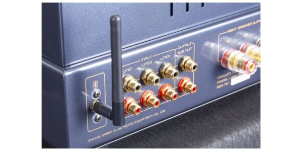 Amplificateur Cayin Jazz 100 Noir – Image 8