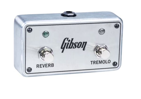 Gibson Usa Falcon 20 1X12 – Image 5