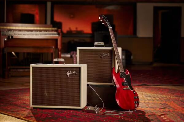 Gibson Usa Falcon 20 1X12 – Image 6