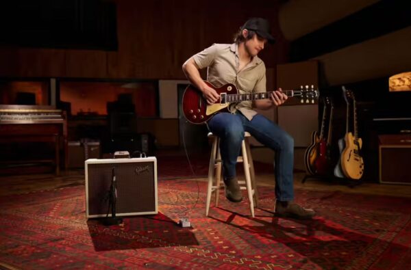 Gibson Usa Falcon 20 1X12 – Image 7