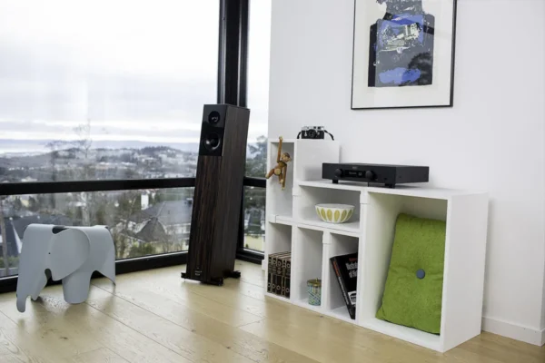 Hegel H95 Amplificateur Amplis DAC – Image 7