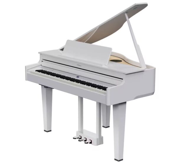 Roland GP-6 PW Blanc Poli