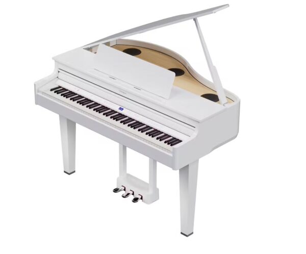 Roland GP-6 PW Blanc Poli – Image 3