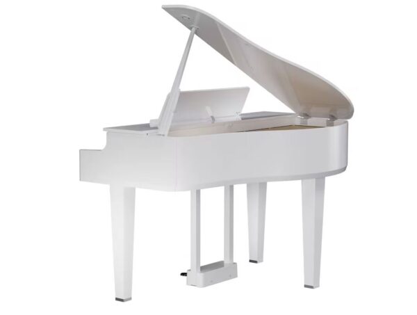 Roland GP-6 PW Blanc Poli – Image 4
