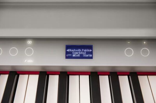 Roland GP-6 PW Blanc Poli – Image 5