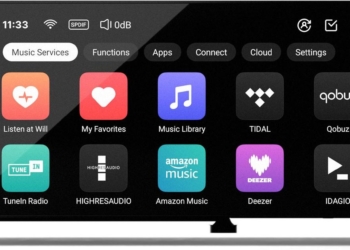 Lecteur réseau EverSolo T8